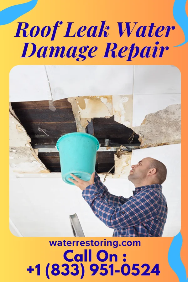 Roof Leak Water Damage Repair in Willow Lake, IL