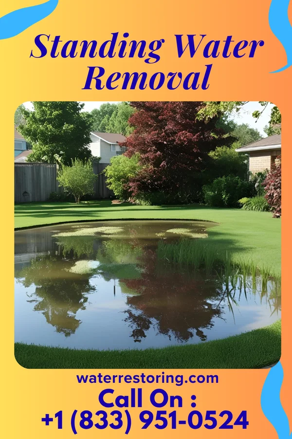 Standing Water Removal in Willow Lake, IL